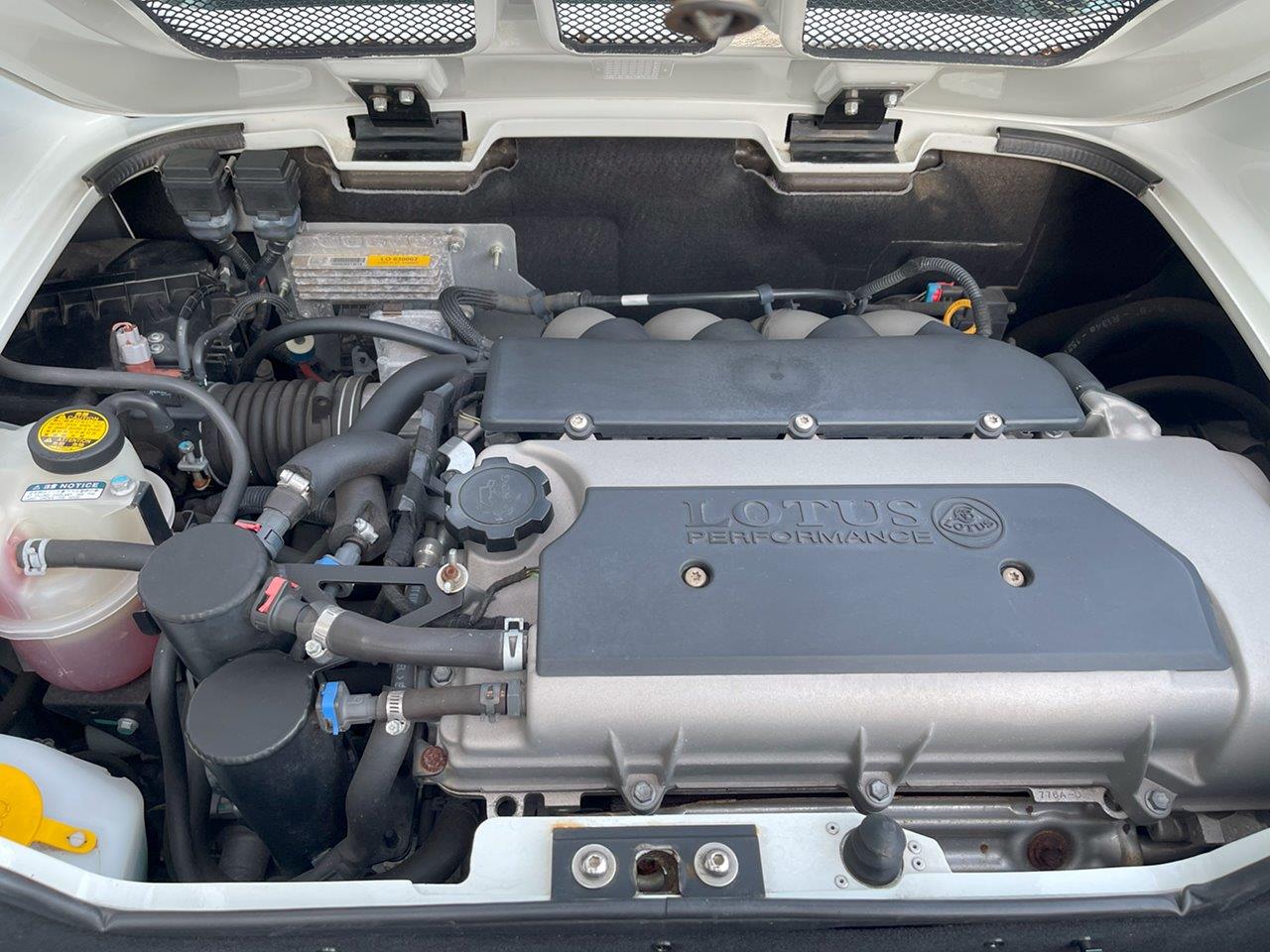特選中古車 ロータス S3 エリーゼR 11年モデル アスペンホワイト