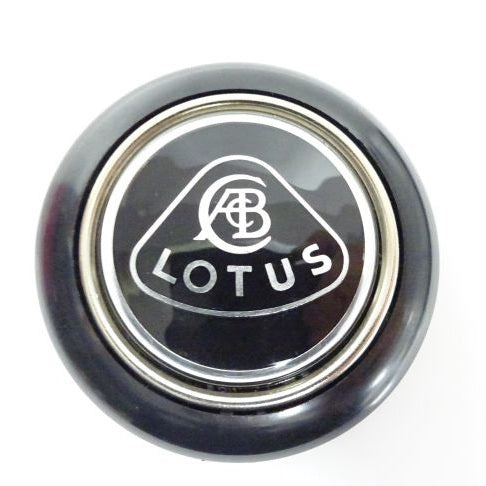 0928-07 lotus専用 20230203_144036002_iOS_1080x.