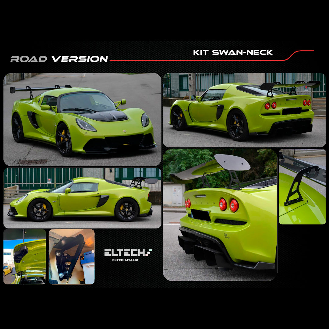 【ロータス様】専用 ELTECH エルテック スワンネック ウイングキット ロードバージョン
