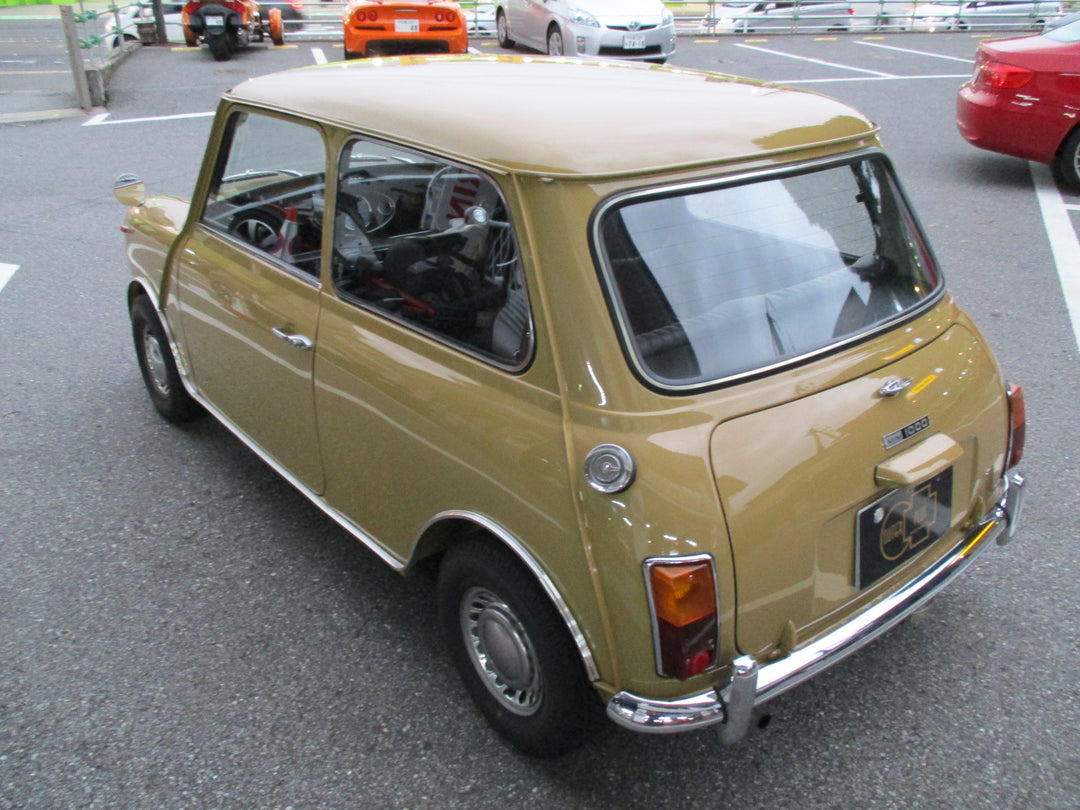 IMG_5910_1080x.jpg?v=1718287996