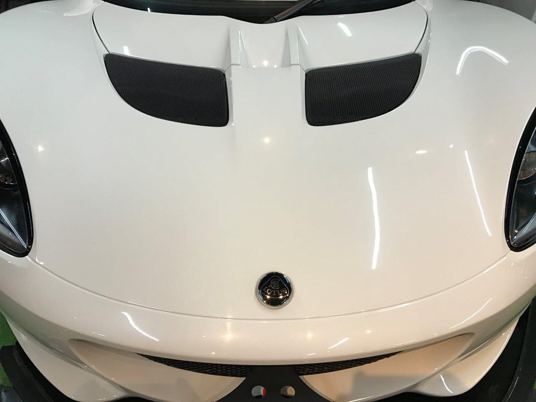 LOTUS ロータス 純正 サンルーフガラス 収納バッグ カー用品 カーパーツ ロータス純正 LOTUS ロータス ノーズバッジ ブラック・シルバー 新ロゴ